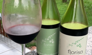 Vinhos Artesanais de Açaí e Cupuaçu do Acre: Uma Nova Sensação da Amazônia