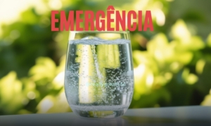 EMERGÊNCIA DECLARADA! Rio Branco à Beira do Colapso: O Que Você Precisa Saber Sobre a ETA II 6barra8 acre noticias orreio68 ACRE24H CONTILNET
