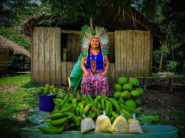 Saiba como o Programa de Aquisição de Alimentos garante segurança alimentar em comunidades indígenas do Acre.