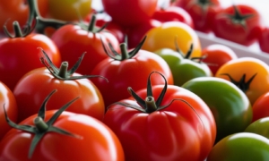 Tomate: Descubra o Superalimento que protege o Coração e Pode Evitar Câncer!
