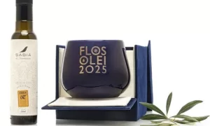 QUALIDADE: Azeite Sabiá Brasileiro Eleito o Melhor Azeite Médio Frutado do Mundo em 2025