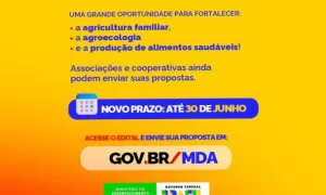 PRORROGADAS: Inscrições da Terra à Mesa Brasil Destina R$ 100 Milhões para Projetos Agroecológicos