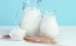 INOVAÇÃO: Leite Sem Vaca A revolução da Proteína Láctea Sustentável