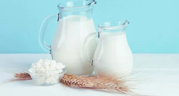 INOVAÇÃO: Leite Sem Vaca A revolução da Proteína Láctea Sustentável