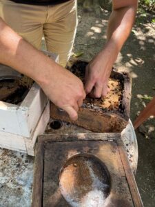 AUTONOMIA: Capacitação Prática e Técnica Fortalece Meliponicultura em Porto Acre