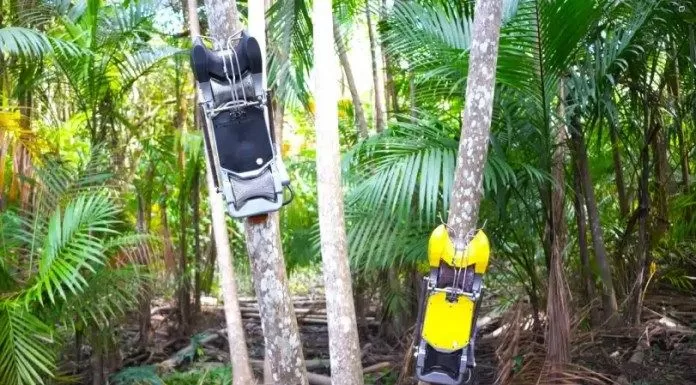 TECNOLOGIA: Açaibot o Robô de Colheita do Açaí Revolução Nacional na Amazônia