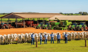 CONFLITO: Pauta Bomba R$ 30 Bilhões para Agronegócio e R$ 600 Milhões para Seguro Safra Agricultores Familiares