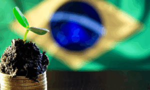 LIDERANÇA: Brasil Lidera Inovação com Primeiros Créditos de Carbono nas Américas