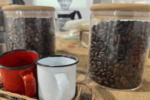 DESTAQUE: Mulheres do Café na ExpoAcre 2025 Impulsionando Protagonismo Feminino