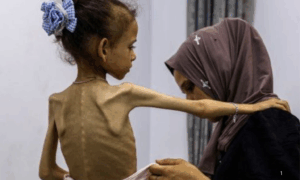DENÚNCIA: ONGs Israelenses Acusam o Governo Netanyahu de Genocídio em Gaza Foto: OMS/ONU