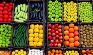 INCENTIVO: BNDES Destina R$ 60 Milhões Para Cooperativas de Agricultura Familiar Produzirem Bioinsumos