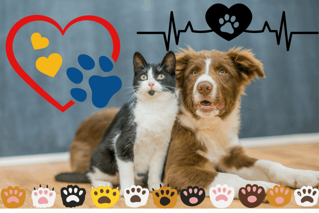 RIGOR: Crime Contra Animais Impede Acesso a Cargos Públicos e a Licitações Estaduais no Acre