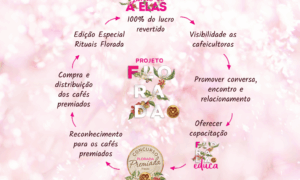 DESTAQUE: Produtoras de café Acreanas Protagonismo Feminino no Florada Premiada