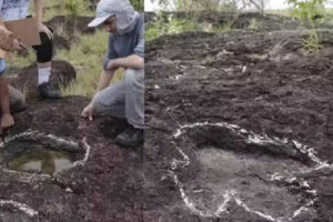 HISTÓRICO: Pegadas de Dinossauros são Descobertas na Amazônia e Abre Caminho para o Turismo Geológico
