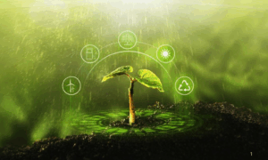 SUSTENTABILIDADE: Agricultura Regenerativa, Sustentável com Tecnologia e Inovação