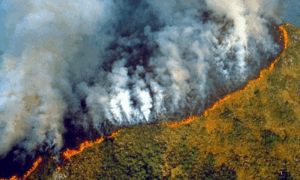 CONSEQUÊNCIAS: Impactos Visíveis das Mudanças Climáticas na Amazônia Legal
