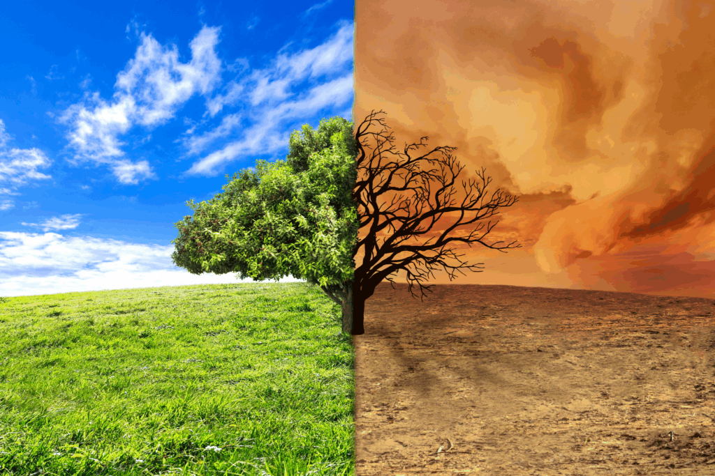 PLANEJAMENTO: Acre Cria Orçamento Climático para Monitorar Ambiente de Risco e Combater Impactos Extremos