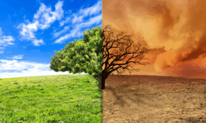 PLANEJAMENTO: Acre Cria Orçamento Climático para Monitorar Ambiente de Risco e Combater Impactos Extremos