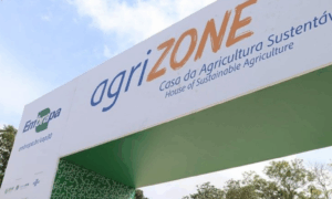 TECNOLOGIA: Embrapa Acre Une Ciência Ancestral e IA Para Preservar Amazônia na COP30