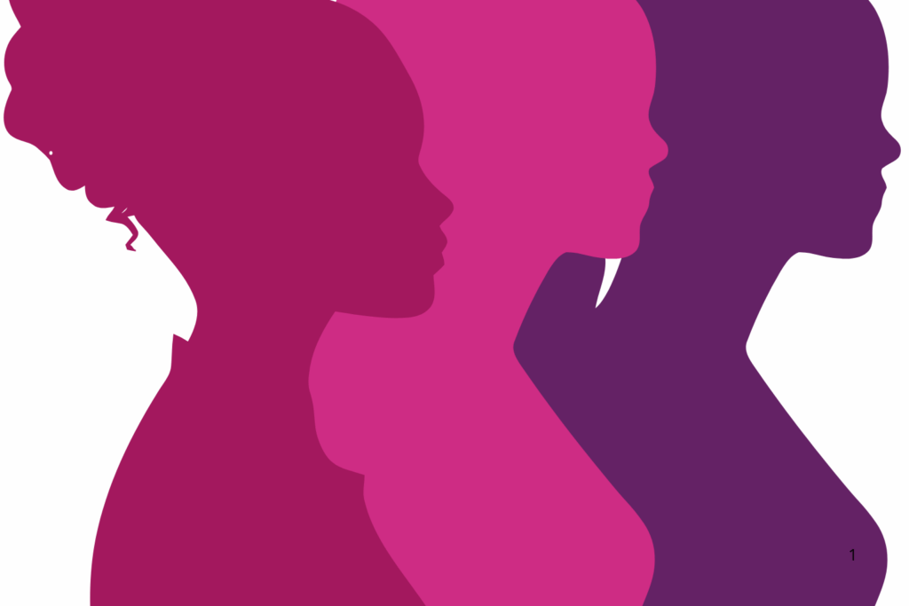 AGRAVANTE: Comissão Aprova Pena Maior para Violência Institucional Contra Mulheres
