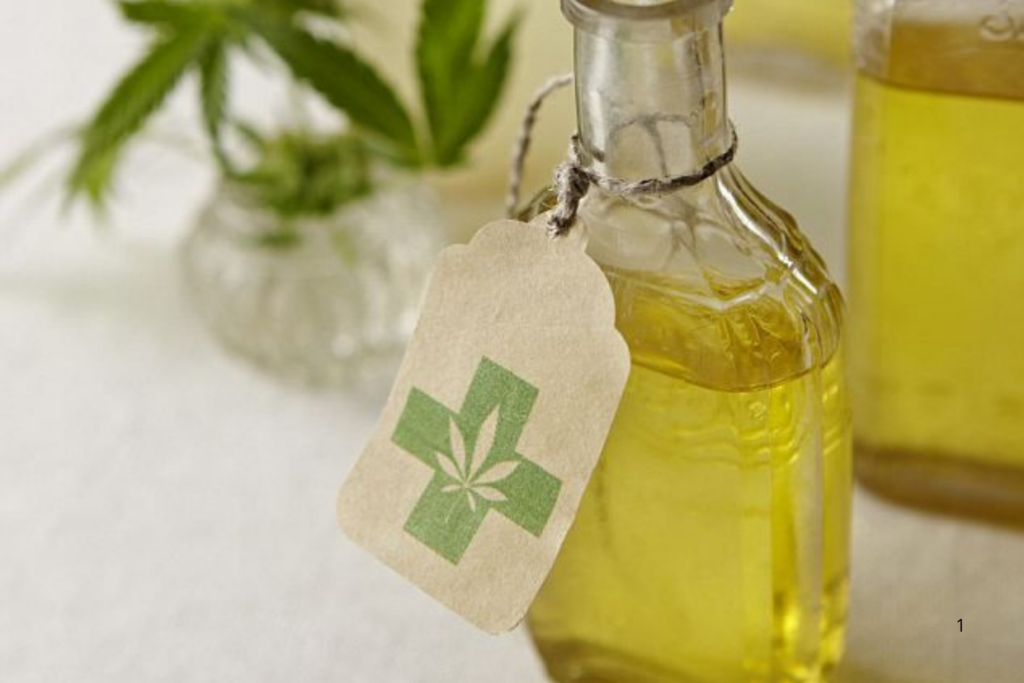 REGRAS: Anvisa Autoriza Cultivo de Cannabis Medicinal no Brasil e Amplia Acesso a Tratamentos