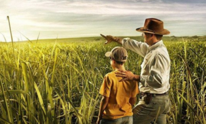 INVESTIMENTO: Energia Solar e Internet no Campo Moderniza Agricultura do Acre que Vive Avanço Histórico