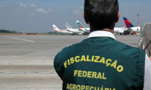 Governo amplia a fiscalização de alimentos trazidos do exterior. Veja o que pode e o que não pode levar na bagagem e os riscos à segurança sanitária.