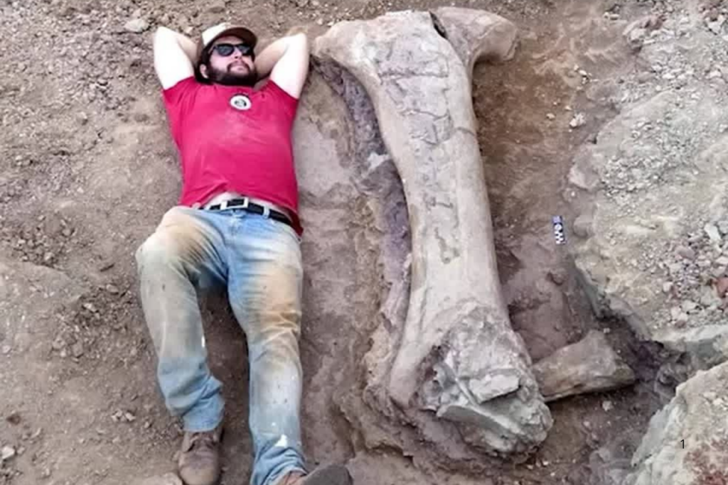 INÉDITO: Nova Espécie de Dinossauro Gigante é Descoberta no Maranhão e Surpreende Cientistas