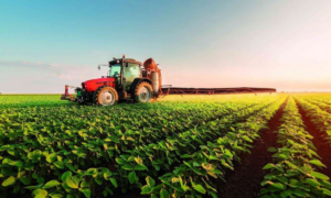 ENGANO: 1º de Abril e as Mentiras sobre o Agronegócio que Viralizaram, porém, Foram Desmentidas