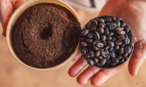 PATROCÍNIO: Acre Abre Edital para Empresas Patrocinarem o QualiCafé 2026 e Impulsionar a Cafeicultura no Estado
