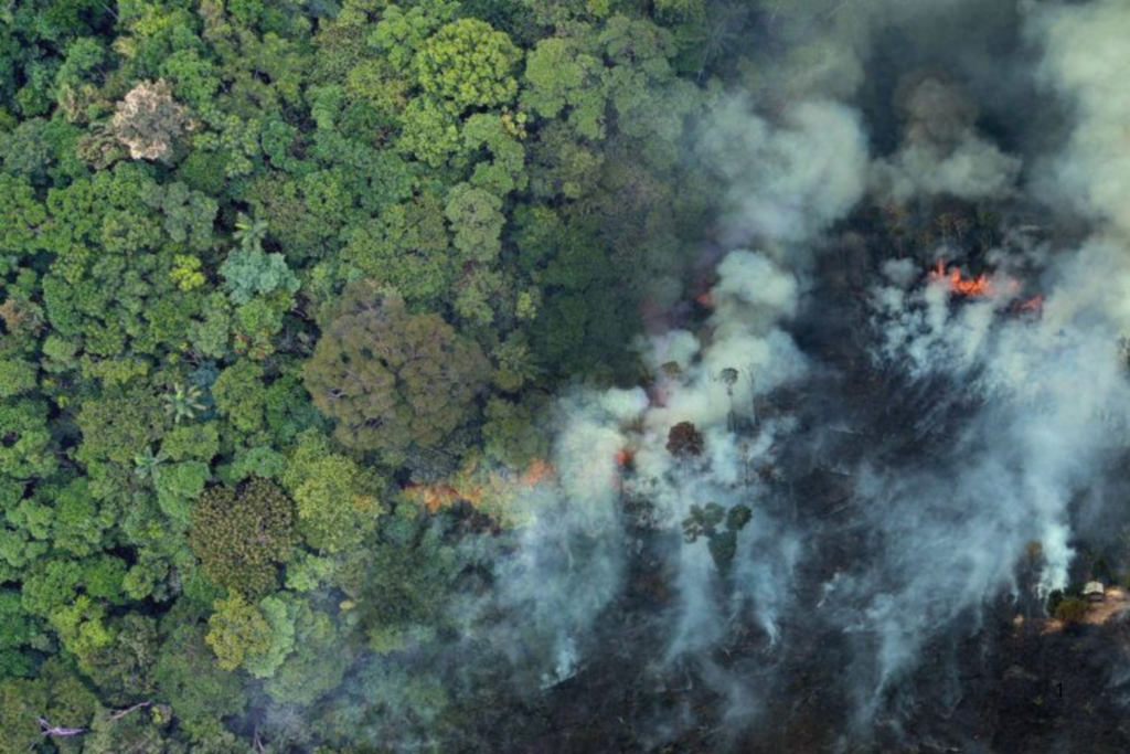 AVANÇO: Cinco Cidades do Acre Recebem Verba para Reforçar Combate ao Desmatamento