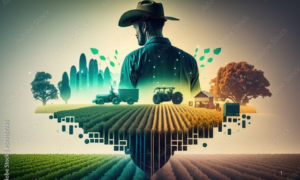 CRÉDITO: Veja Quem pode Solicitar e como Funciona a Linha de Microcrédito Rural