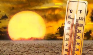 EXTREMO: El Niño Recorde pode Antecipar em Uma Década o Clima que o Planeta Terá no Futuro