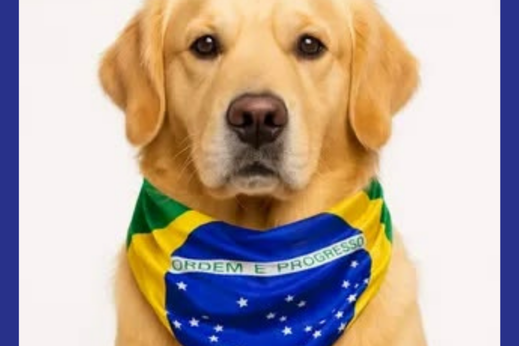 PROTEÇÃO: Brasil Completa 10 Anos sem Raiva Humana Transmitida por Cães e Reforça Vacinação nas Fronteiras