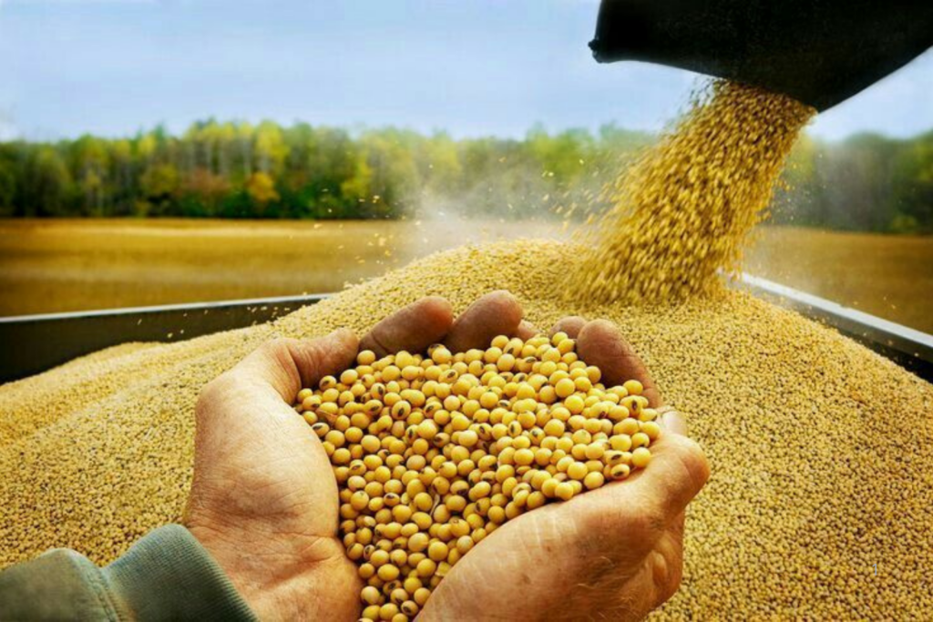 REGRAS: Lei 15.490 Amplia Venda em Balcão e Permite Acesso a Novos Produtos para Alimentação Animal