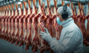CRESCIMENTO: Produção Brasileira de Carnes Deve Superar 34 Milhões de Toneladas em 2026 e 2027
