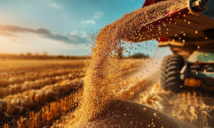 PRODUÇÃO: Safra Recorde Mostra a Força do Agro Brasileiro, mas os Números Também Acendem Alertas