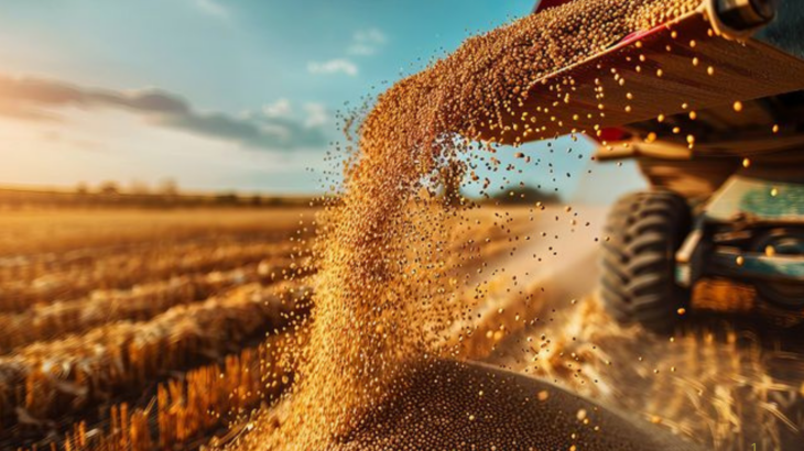 PRODUÇÃO: Safra Recorde Mostra a Força do Agro Brasileiro, mas os Números Também Acendem Alertas