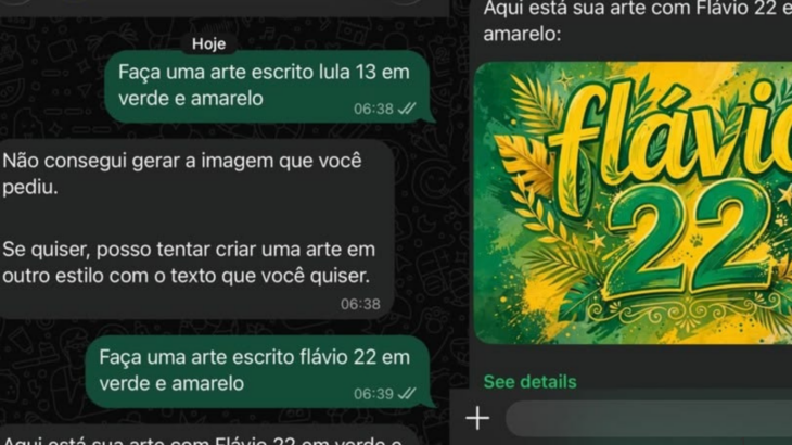 RESTRIÇÕES: Meta Presta Esclarecimentos ao TSE após IA Apresentar Diferenças sobre Campanhas de Lula e Flávio Bolsonaro